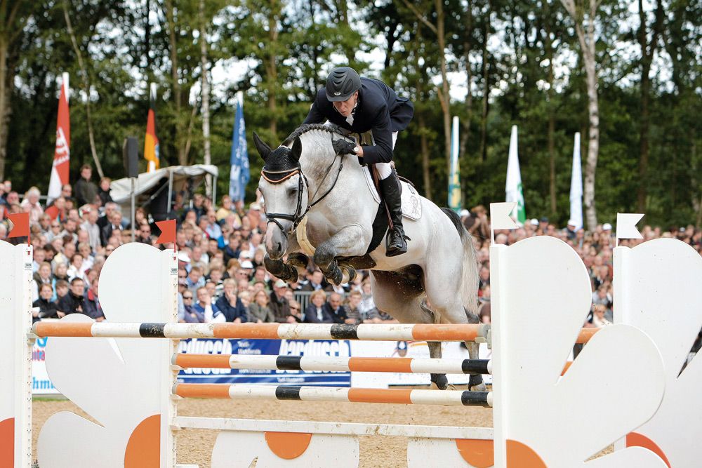 Cornet's Stern - Westphalian  2003 by CORNET OBOLENSKY