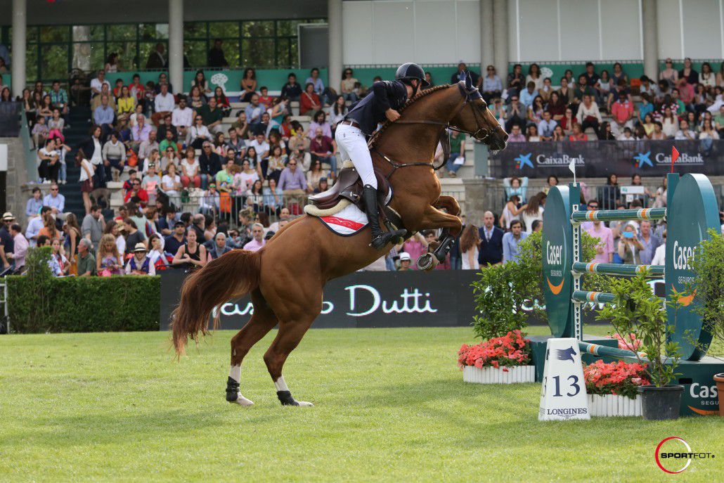 Romanov - KWPN Dutch Warmblood 1998 by HEARTBREAKER