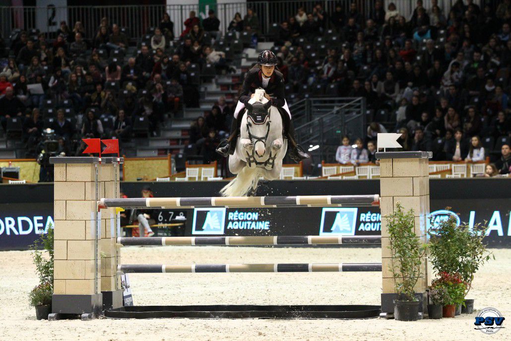 Uhélem de Seille - French Saddle Pony 2008