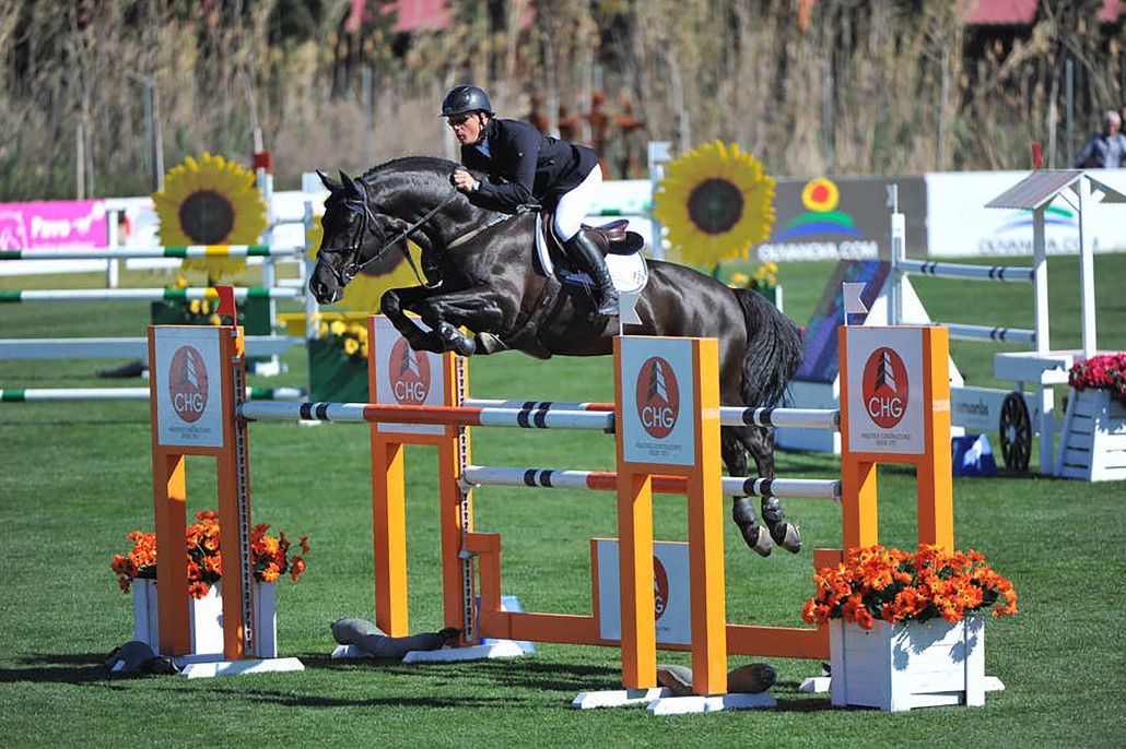 Ukato - Hanoverian 2001 by STAKKATO