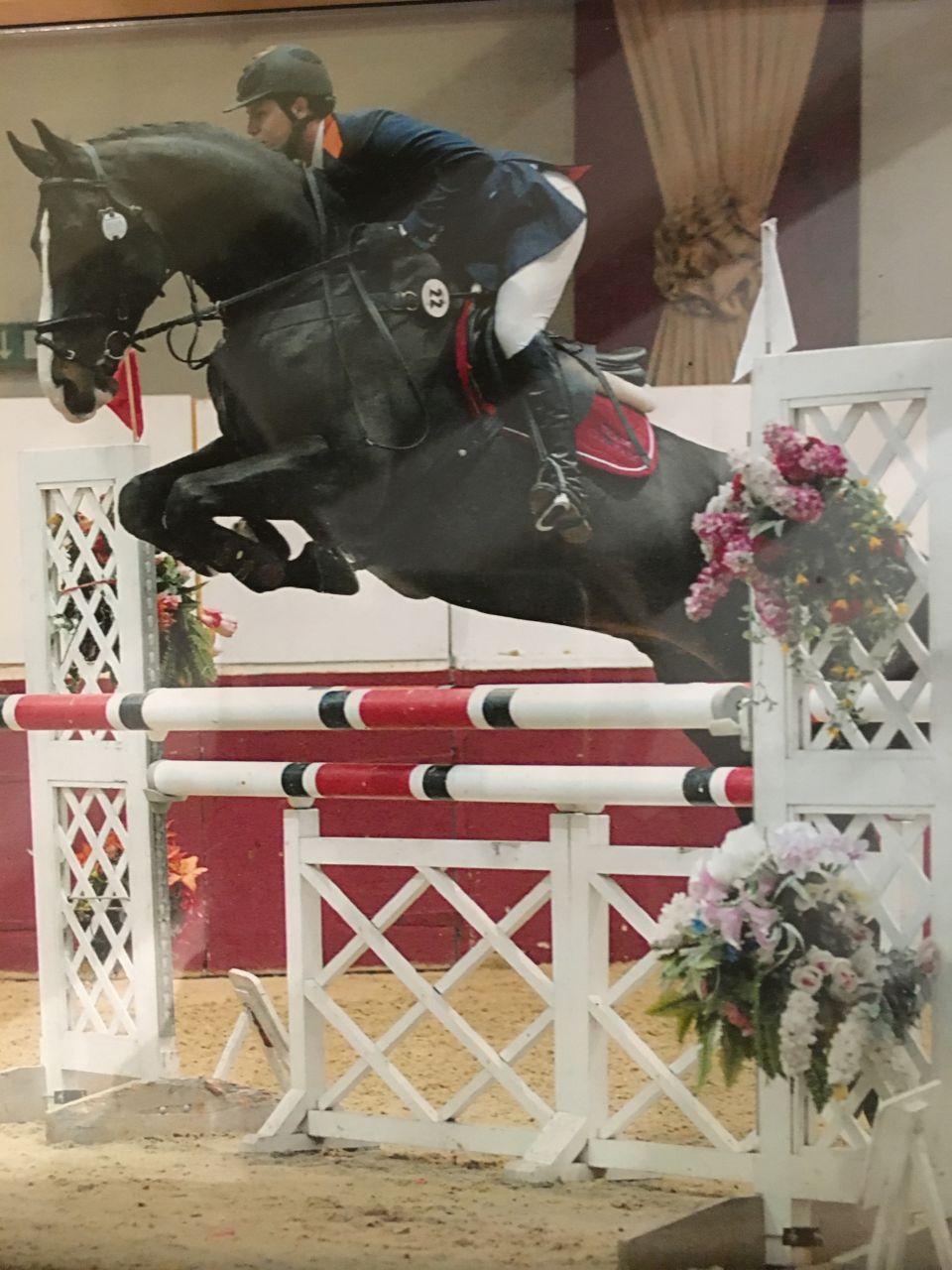 Zodjan J - KWPN Dutch Warmblood 2004 by NEGRO