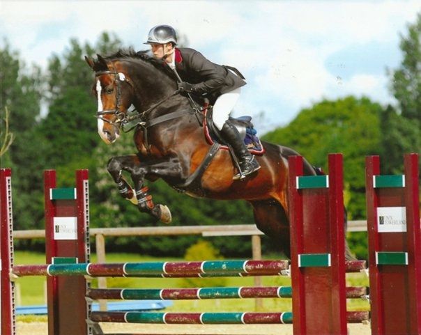 Zodjan J - KWPN Dutch Warmblood 2004 by NEGRO