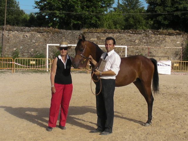 NIGAS DE NAUTIAC - Arabian 2007 by NUREK DE NAUTIAC