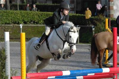 IVOIRE DE CIVRY - New Forest 1996 by PERAC DES ETANGS