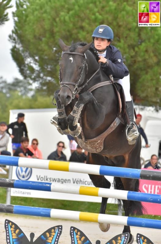 LOVELYHILL MAGICAL HEIGHT - New Forest 2010 by APPLEWITCH PURE MAGIC