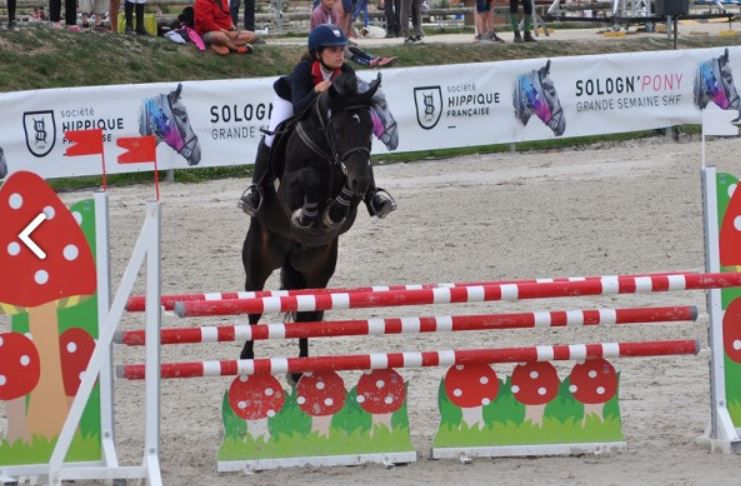 LOVELYHILL MAGICAL HEIGHT - New Forest 2010 by APPLEWITCH PURE MAGIC