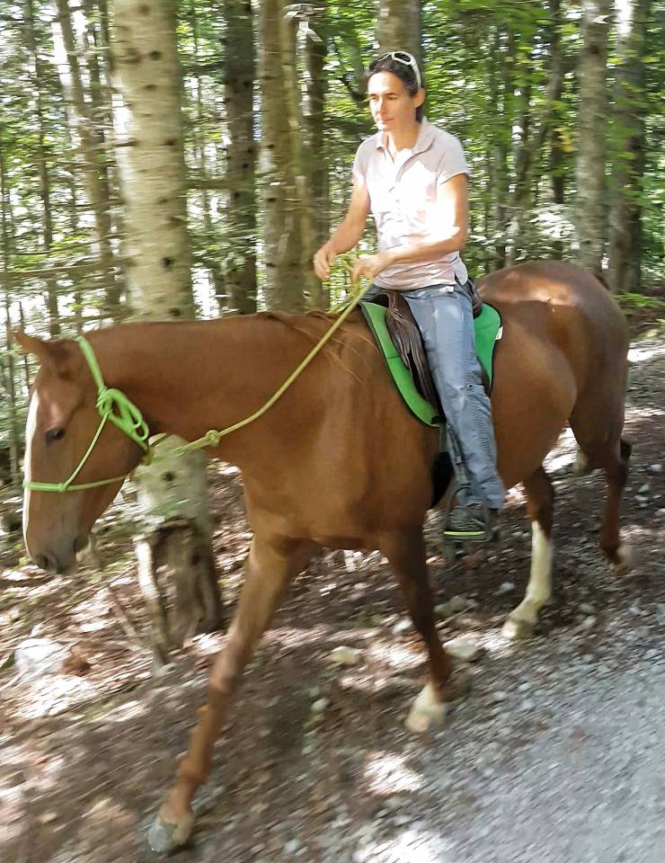 Mare Akhal Teke For sale 2017 Chesnut