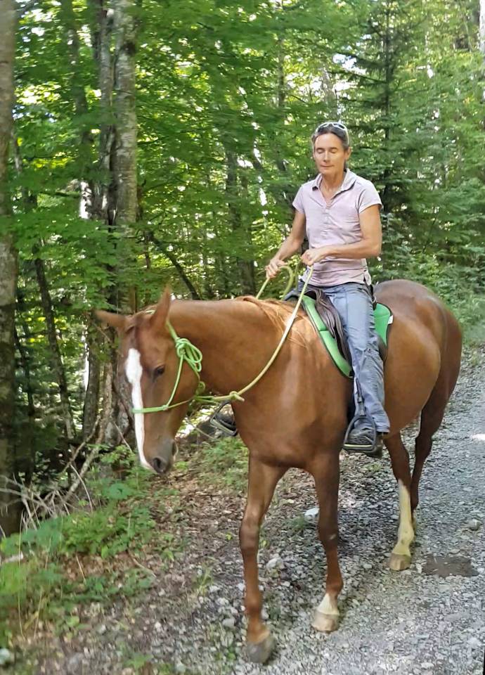 Mare Akhal Teke For sale 2017 Chesnut