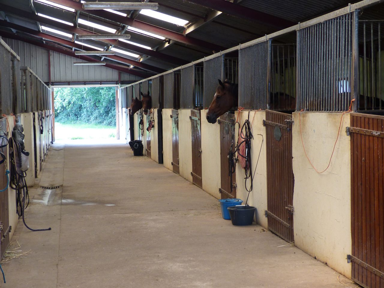 Equestrian property  Calvados