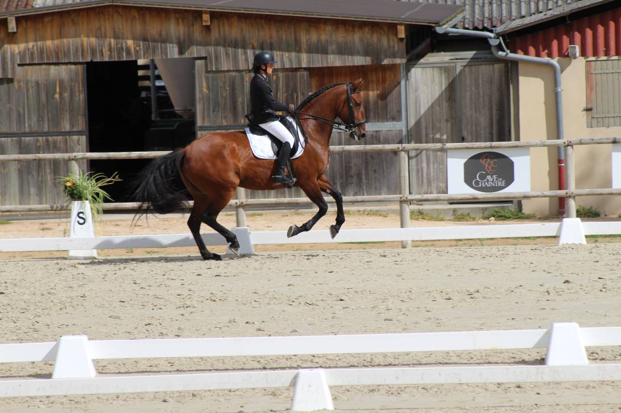 Riding teacher apprentice - Apprentice Full time - Rhône France