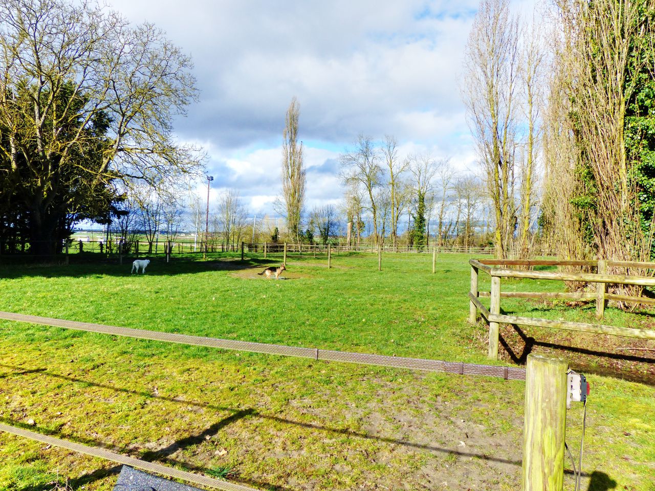 Equestrian property  Yvelines