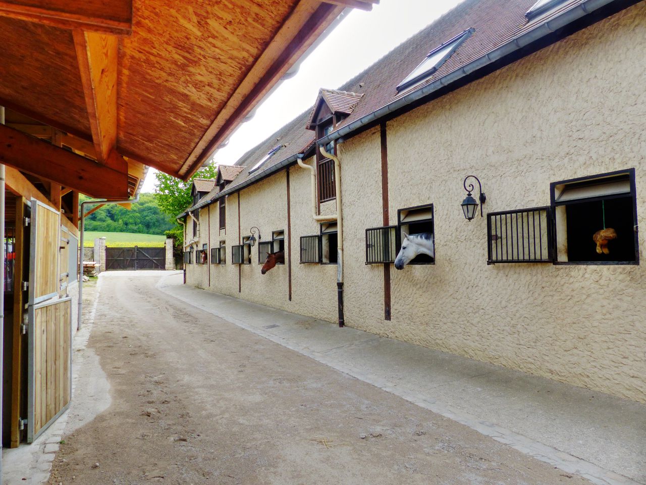 Equestrian property  Yvelines