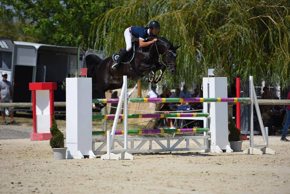 CORTO MALTESSE MSJ - Holsteiner 2012 by CASALL