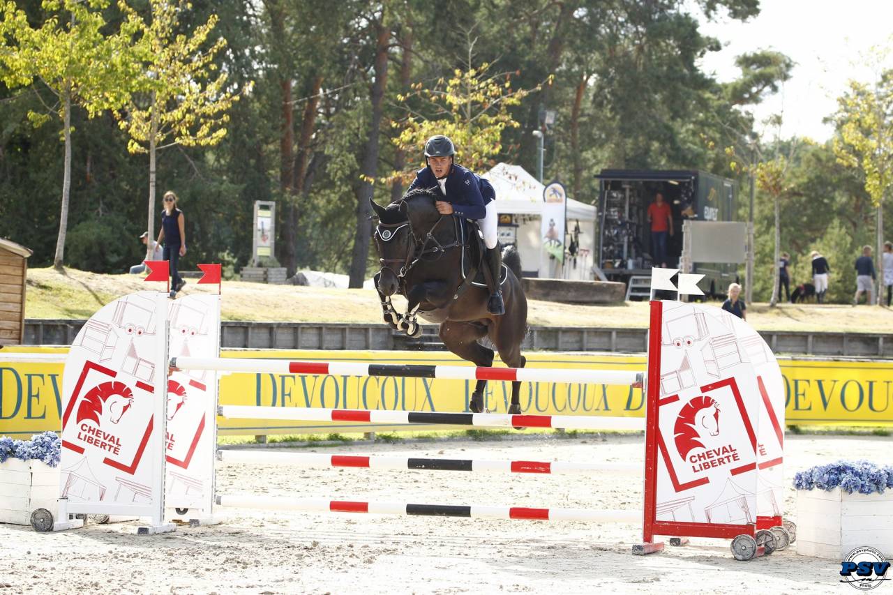 CORTO MALTESSE MSJ - Holsteiner 2012 by CASALL