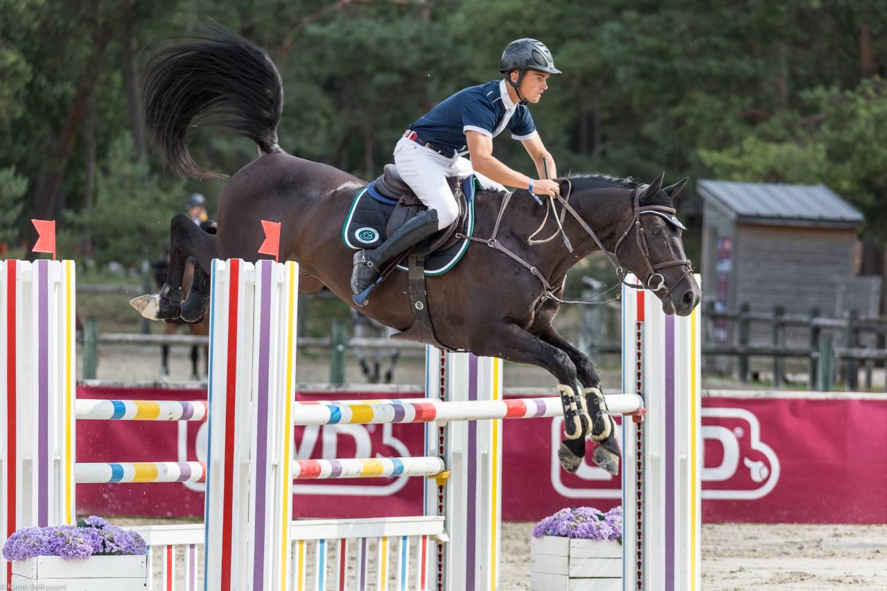 CORTO MALTESSE MSJ - Holsteiner 2012 by CASALL