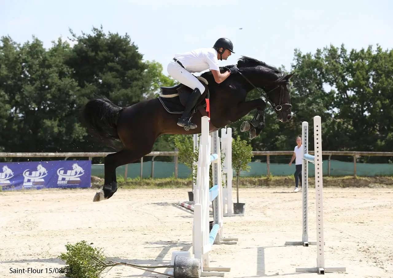 CORTO MALTESSE MSJ - Holsteiner 2012 by CASALL