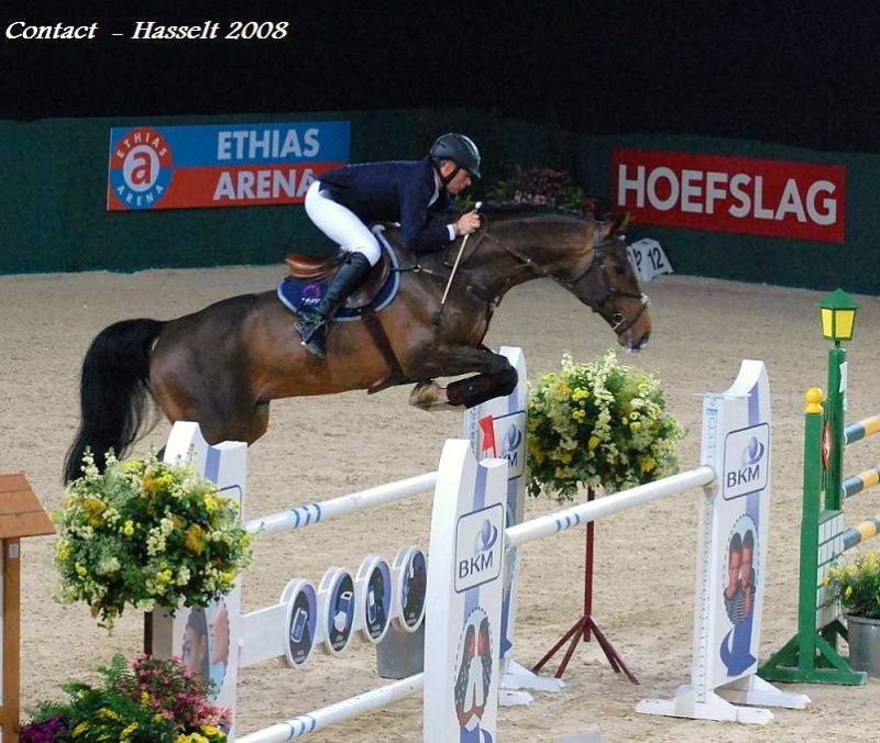 Contact van de Heffinck - Holsteiner 2001