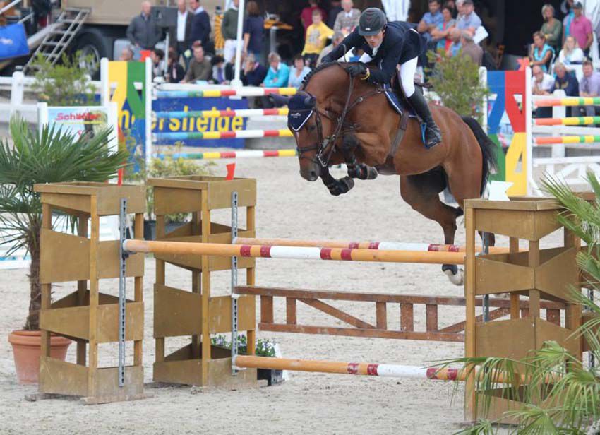 Contact van de Heffinck - Holsteiner 2001