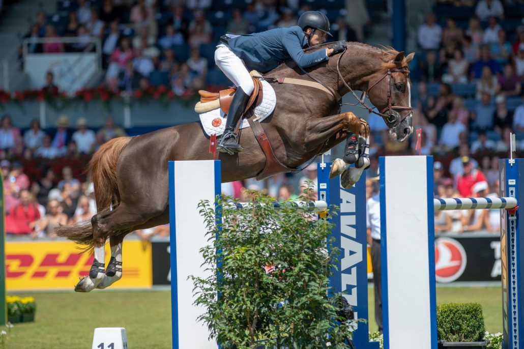 Quabri de l'Isle - Selle Français 2004