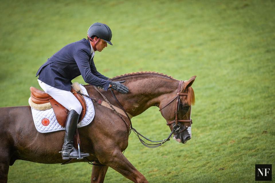 Quabri de l'Isle - Selle Français 2004