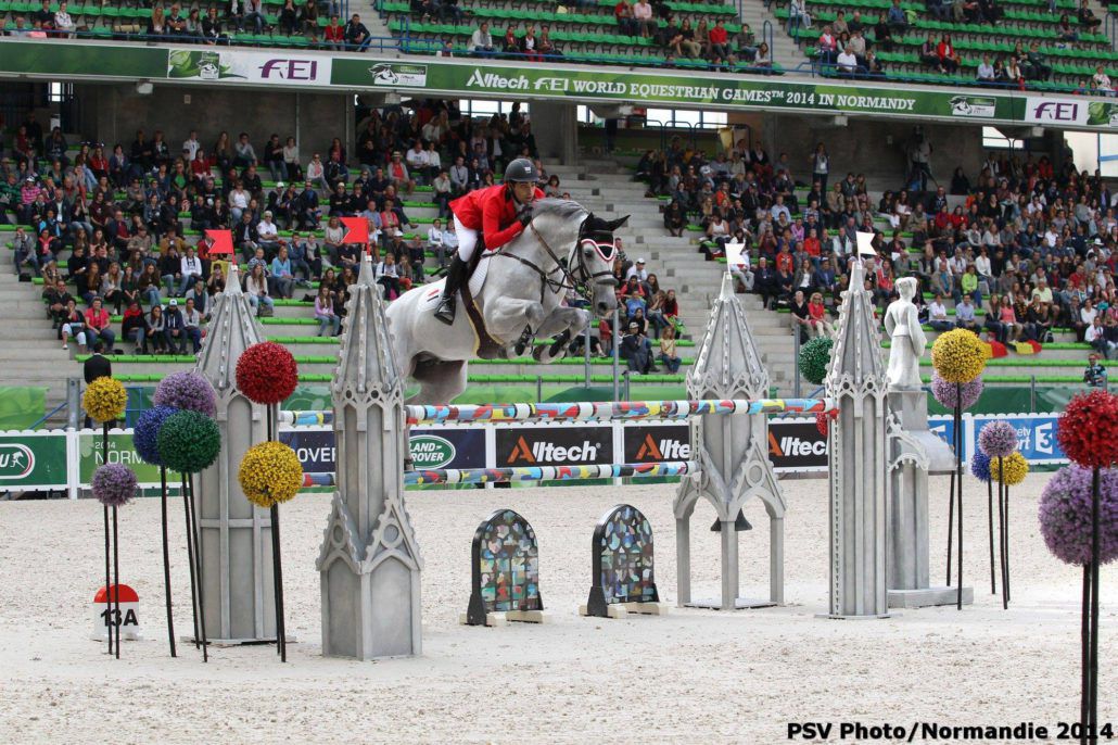 Vingino - KWPN Dutch Warmblood 2002