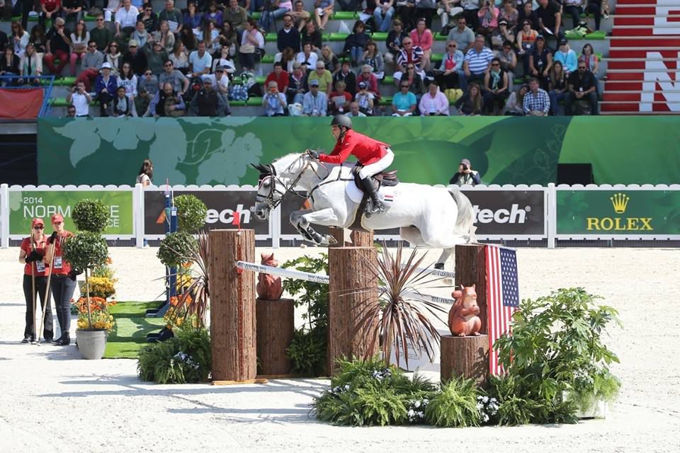 Vingino - KWPN Dutch Warmblood 2002