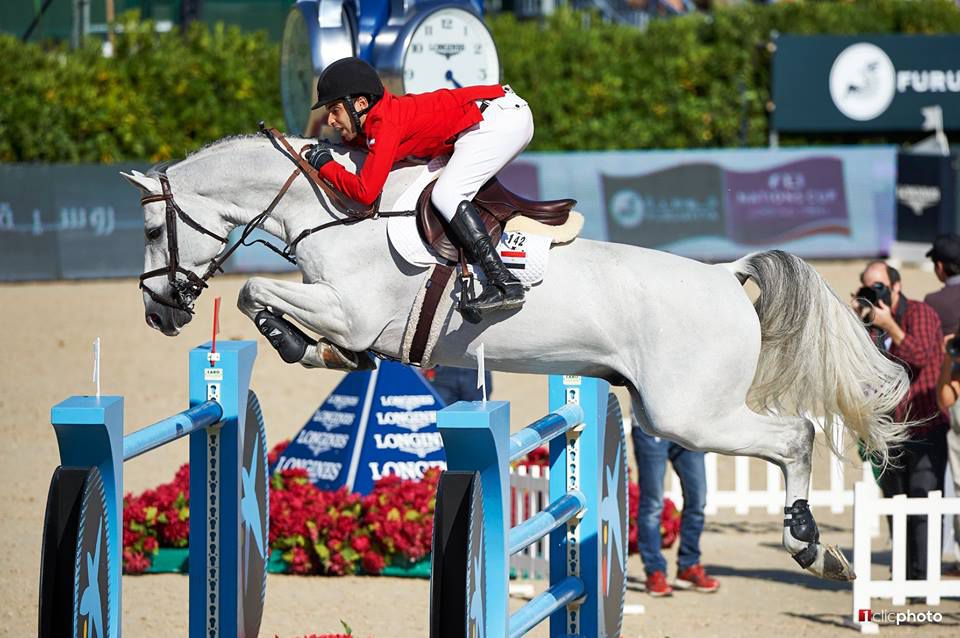 Vingino - KWPN Dutch Warmblood 2002