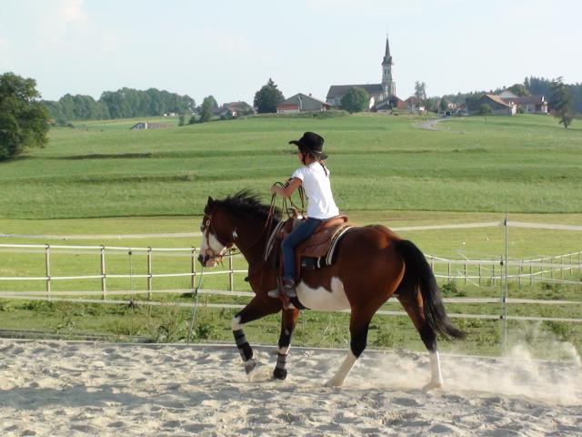 Wash Bar Leo - Paint 2005 by WASH MY SPECTICKLES