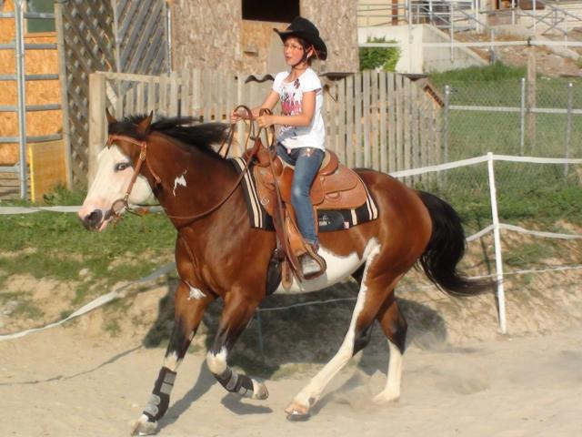 Wash Bar Leo - Paint 2005 by WASH MY SPECTICKLES