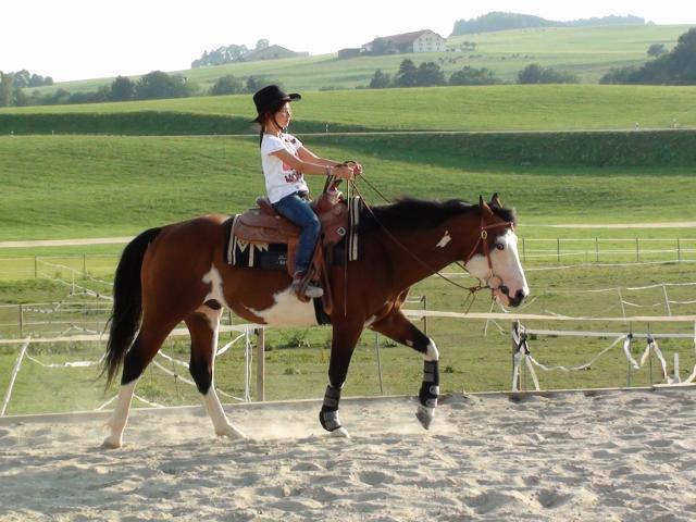 Wash Bar Leo - Paint 2005 by WASH MY SPECTICKLES