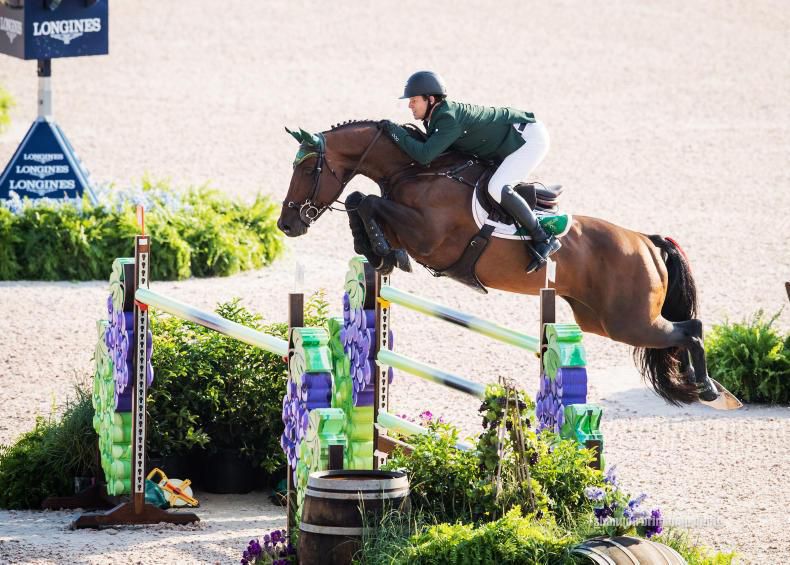 Chaqui Z - Zangersheide 2006