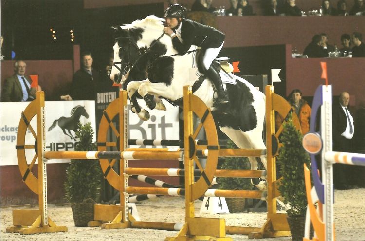 Frison / Barock Pinto - Friesian 2010
