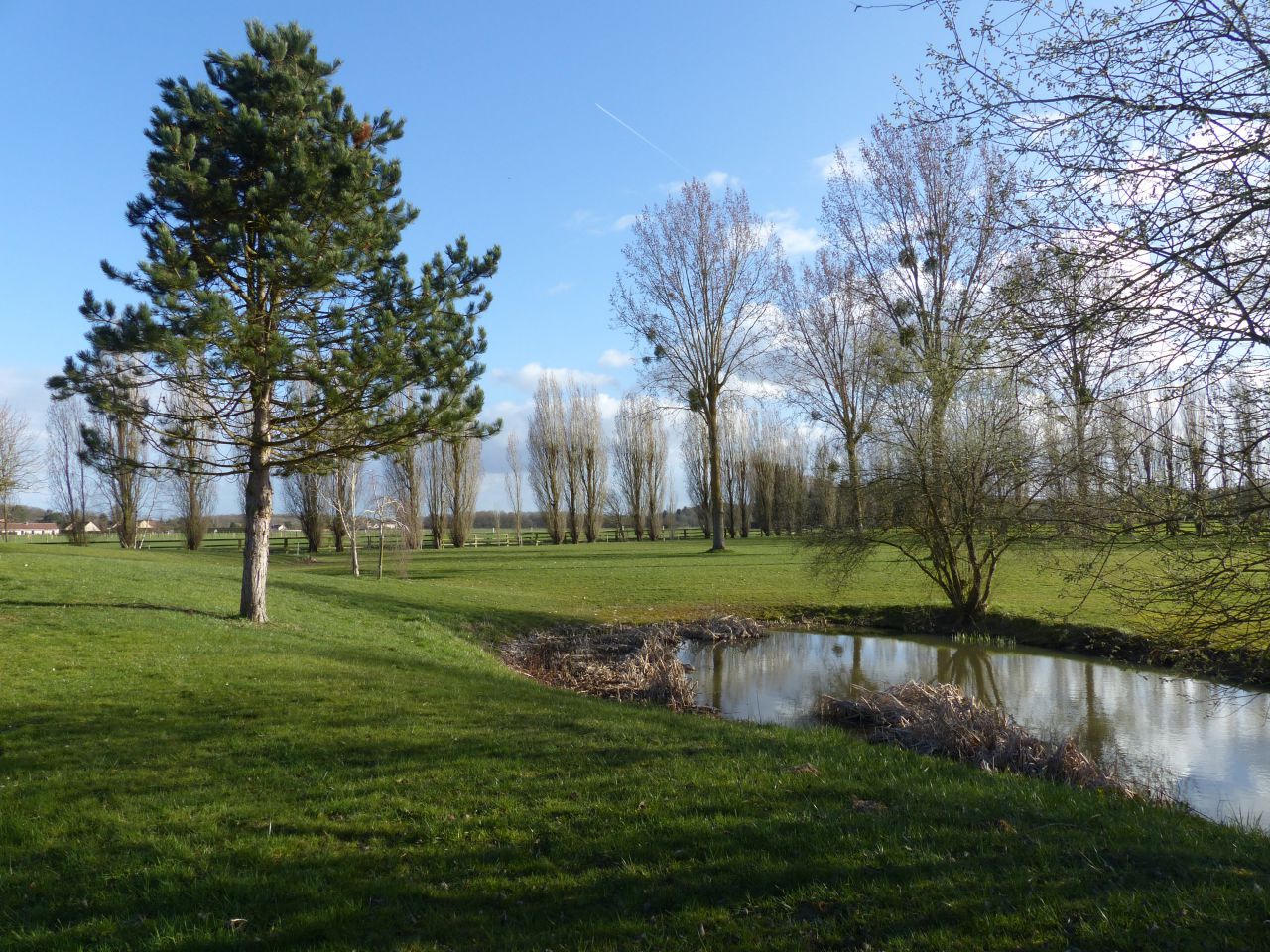 Livery yard  Yvelines