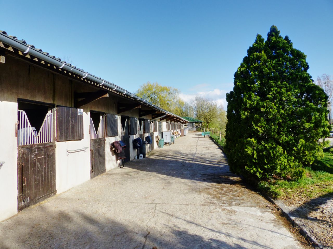 Livery yard  Yvelines