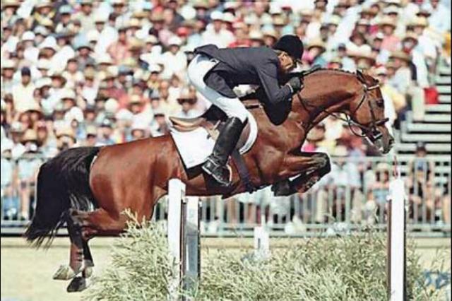 Lando - Danish Warmblood 1988 by LANCIER