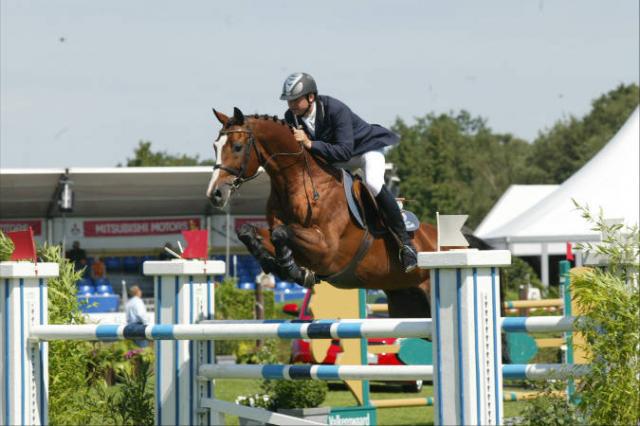 Lando - Danish Warmblood 1988 by LANCIER