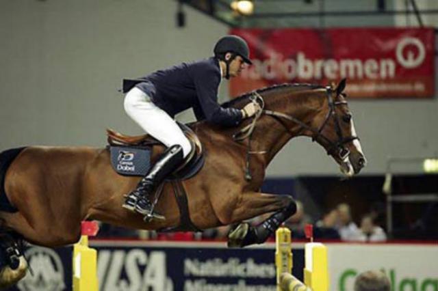 Lando - Danish Warmblood 1988 by LANCIER