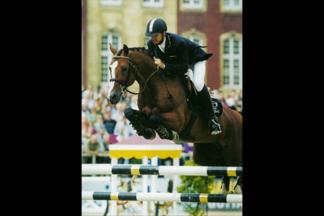 Lando - Danish Warmblood 1988 by LANCIER