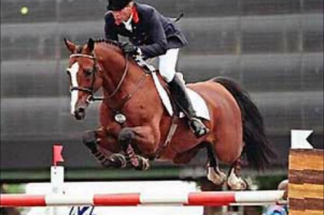 Lando - Danish Warmblood 1988 by LANCIER