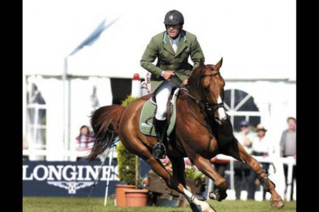 Tinka's Boy - KWPN Dutch Warmblood 1989 by ZUIDPOOL