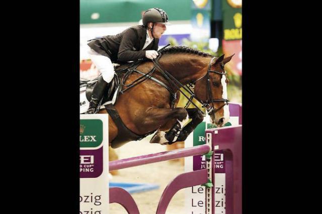 Plot Blue - KWPN Dutch Warmblood 1997 by MR BLUE