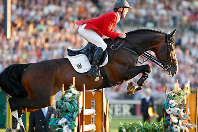 Plot Blue - KWPN Dutch Warmblood 1997 by MR BLUE