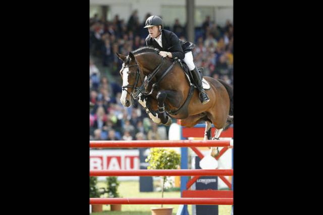 Plot Blue - KWPN Dutch Warmblood 1997 by MR BLUE