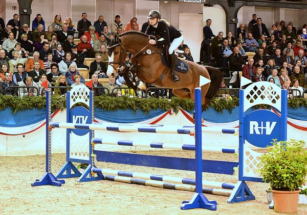 Million Dollar - BWP Belgian Warmblood 2012 by PLOT BLUE