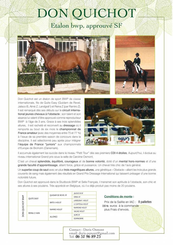 Don Quichot - BWP Belgian Warmblood 2000 by QUITE EASY