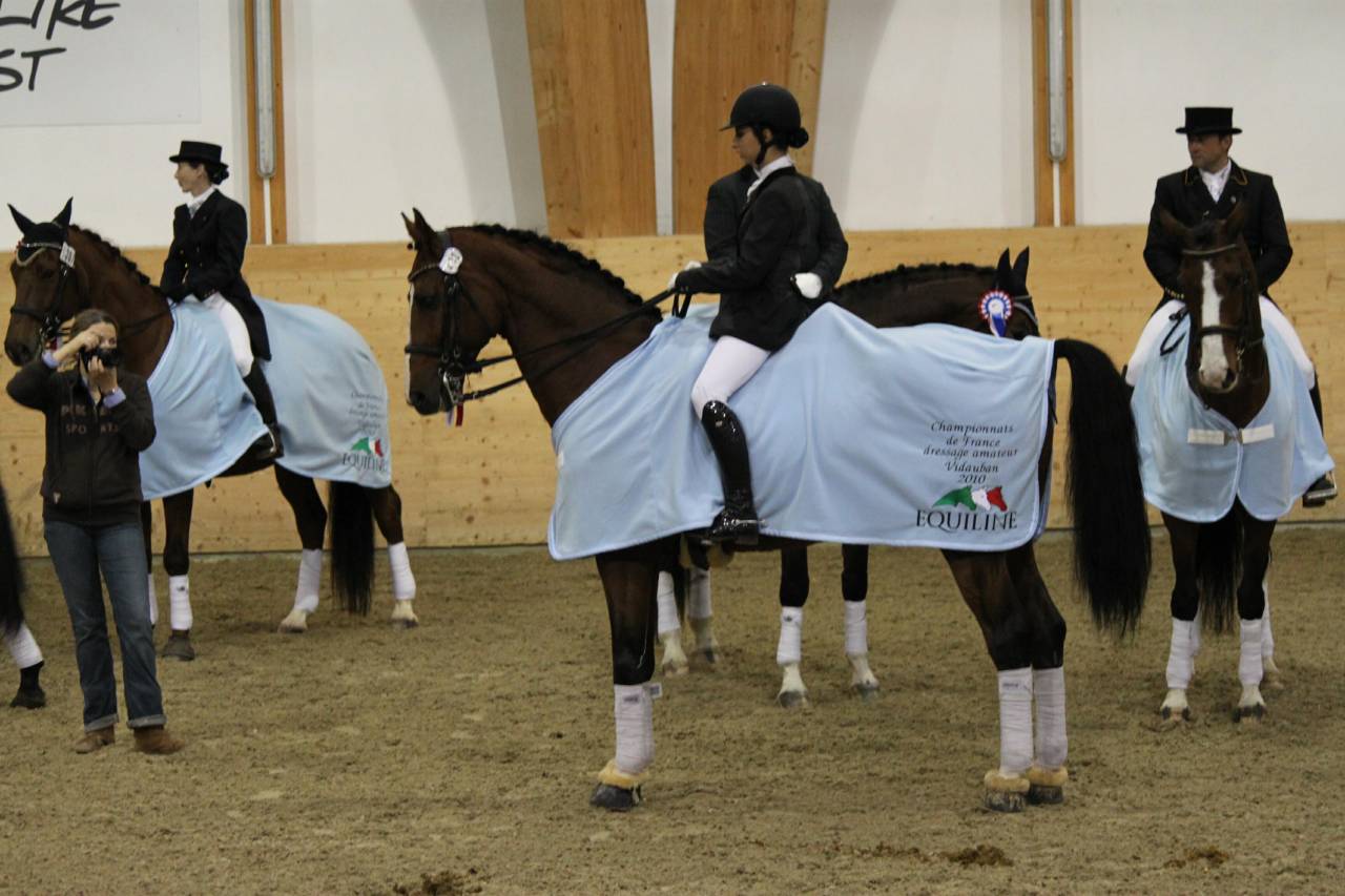 Don Quichot - BWP Belgian Warmblood 2000 by QUITE EASY