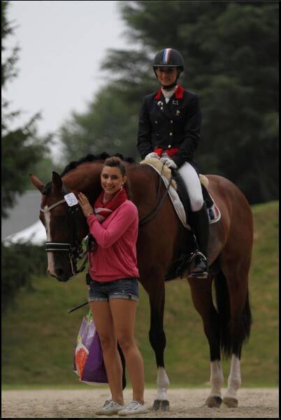 Don Quichot - BWP Belgian Warmblood 2000 by QUITE EASY