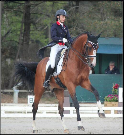 Don Quichot - BWP Belgian Warmblood 2000 by QUITE EASY