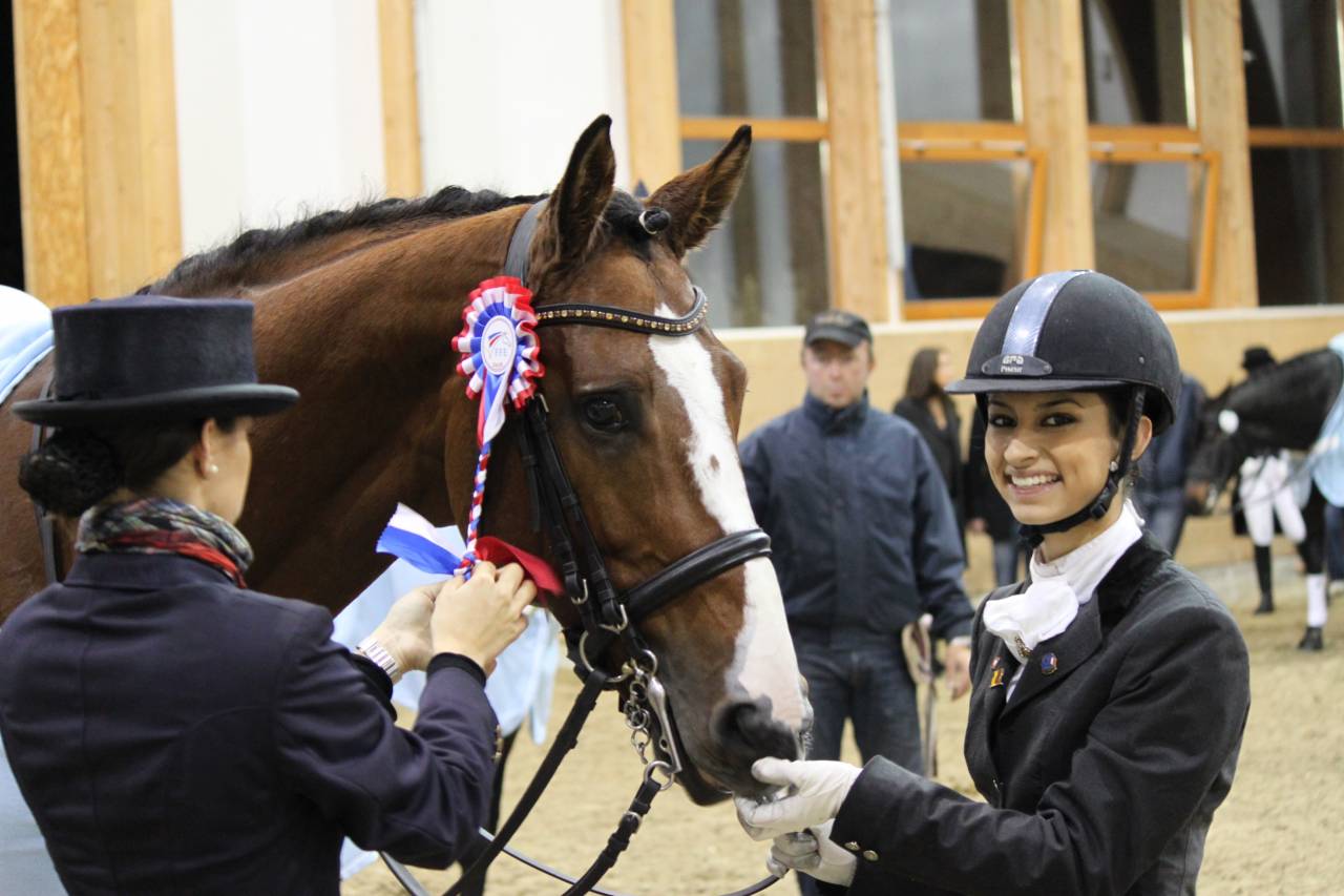 Don Quichot - BWP Belgian Warmblood 2000 by QUITE EASY
