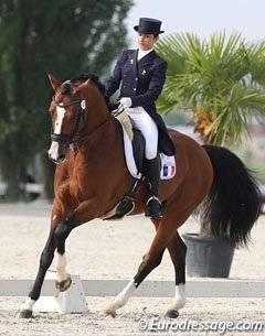 Don Quichot - BWP Belgian Warmblood 2000 by QUITE EASY